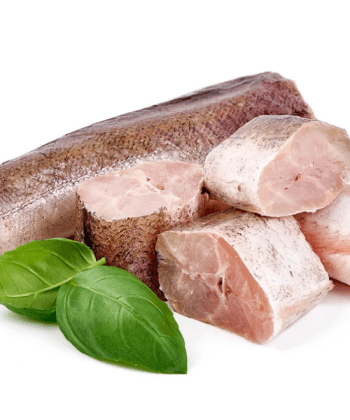 Hake Fish