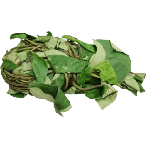 Fresh Uziza Leaves