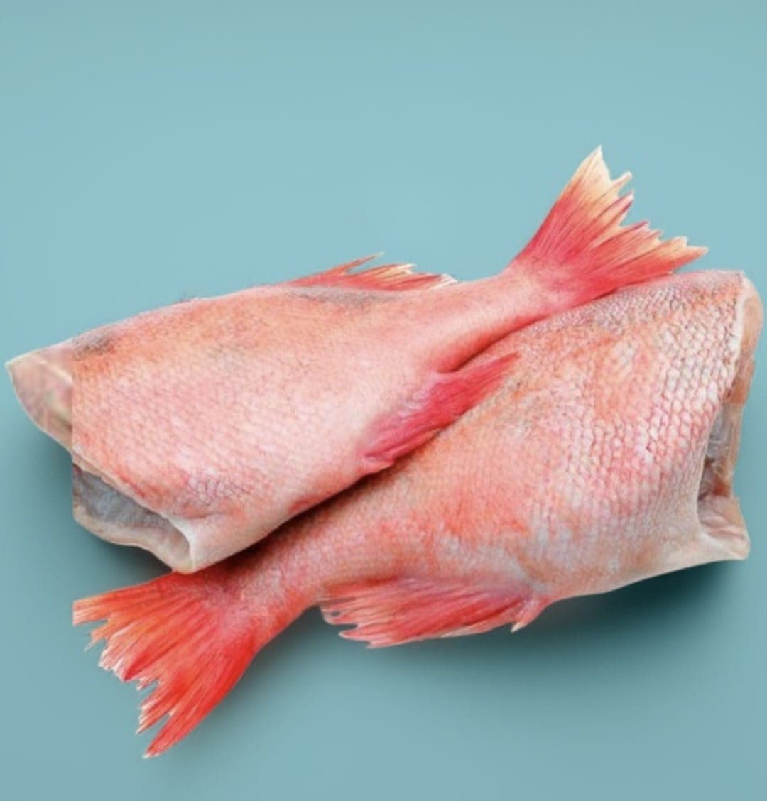 Red Bream Fish